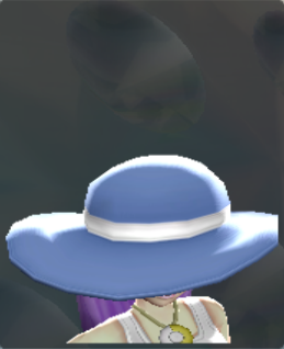 File:PBRCelebrityHatC.png