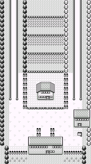File:Kanto Route 5 RBY.png