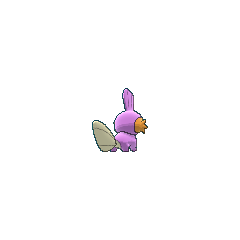 Pokemon 2258 Shiny Mudkip Pokedex: Evolution, Moves, Location, Stats
