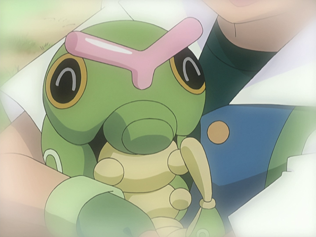 File:Ash Caterpie Sinnoh.png