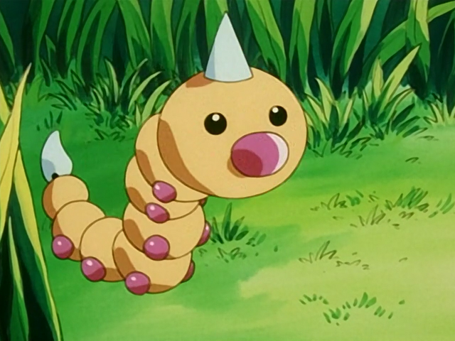 File:Casey Weedle.png