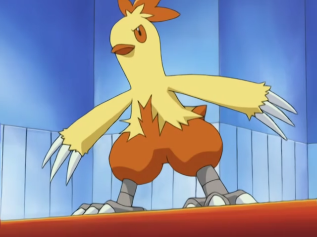 File:May Combusken.png