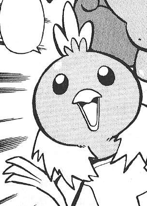 File:Birch Torchic PMRS.png