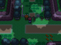 Eterna Forest - Pokemon Diamond, Pearl and Platinum Guide - IGN