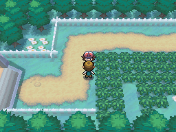 Route 3 tall grass rows glitch.png