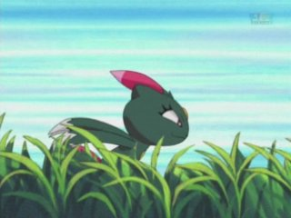 File:Harrison Sneasel Quick Attack.png