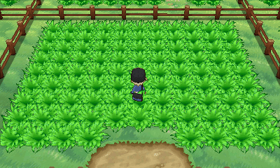 File:Friend Safari Field.png