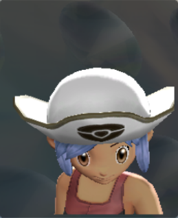 File:PBRPirateHatC.png