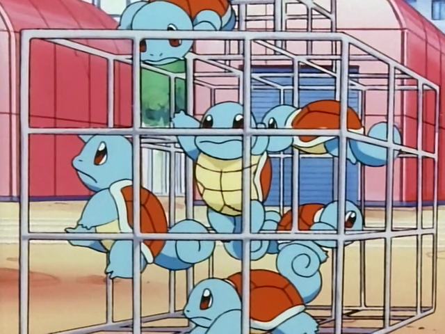 File:Team Squirtle.png