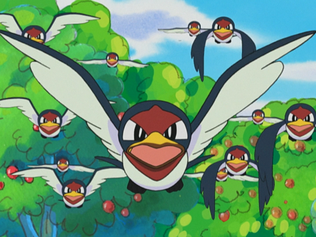 File:Petalburg Forest Taillow.png