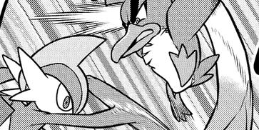 File:Ash Farfetch'd Detect JNM.png