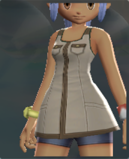 File:PBRExpeditionMinidress.png