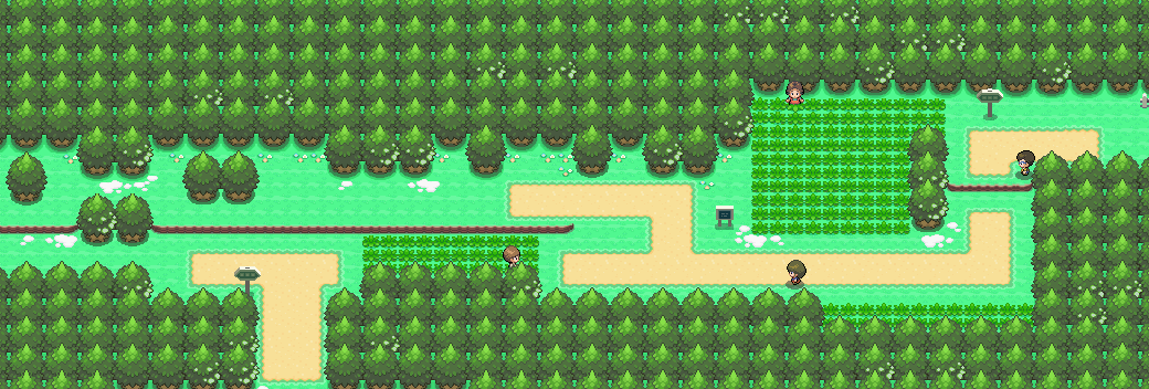 EXP. Share - Route 204, Ravaged Path, Floaroma Town, Valley Wi