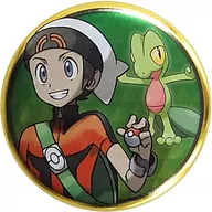 Pokémon Center Badges Brendan Treecko.png