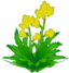 File:XY Yellow Flowers.png
