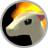 Ponyta