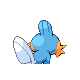 Mudkip back