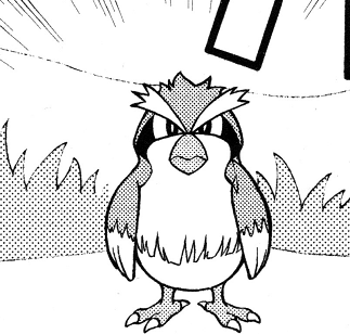 File:Chase Pidgey ASC.png