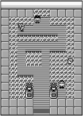 Cerulean City Gym