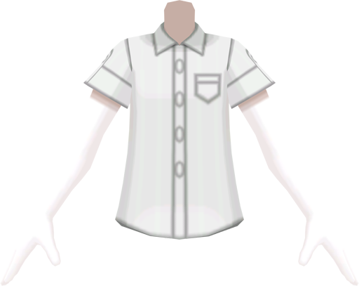 File:SM Pinstripe Collared Shirt White m.png