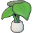 Leafy plant