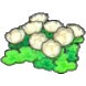 Skyland flowers