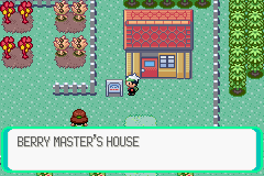 Berry Master house E.png