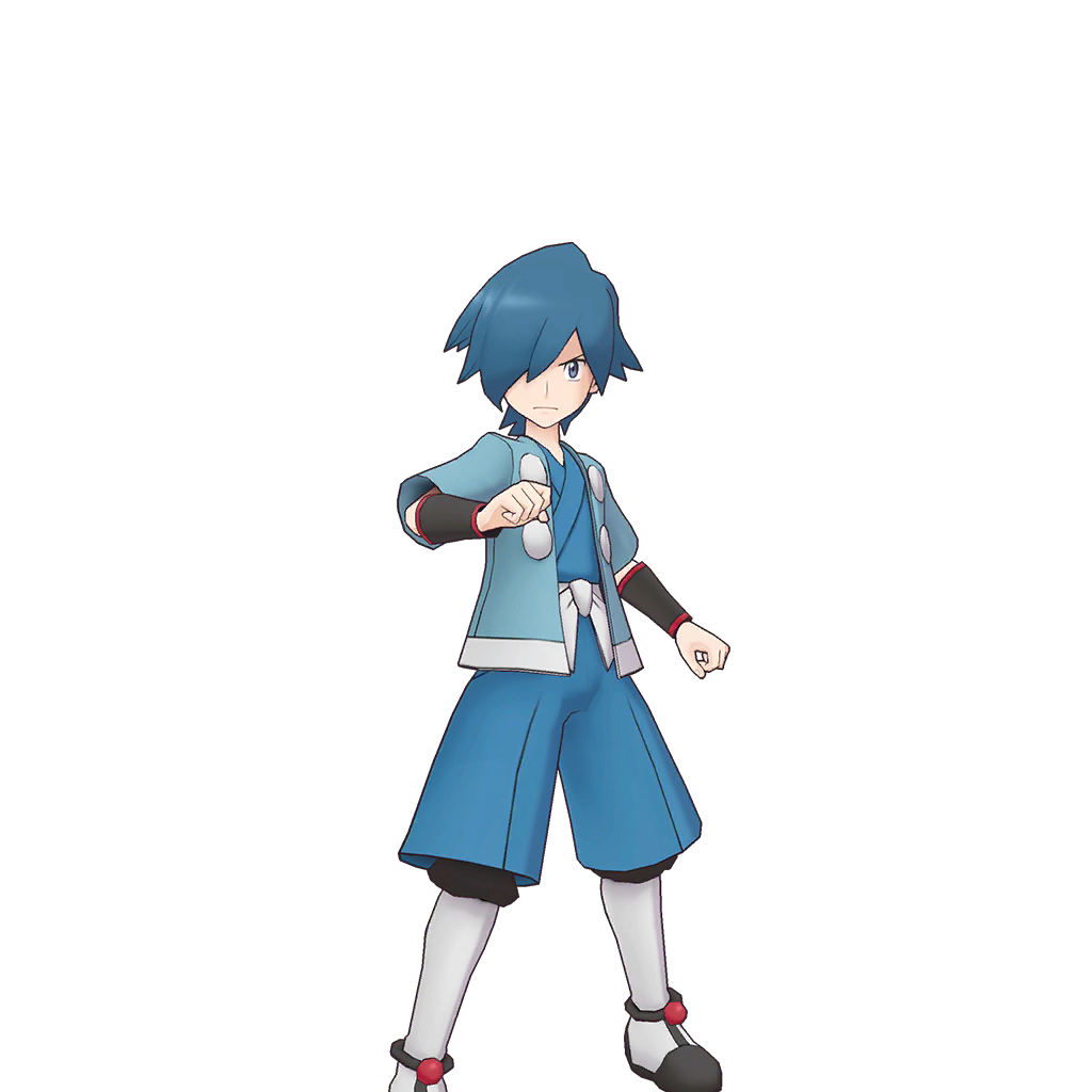 Falkner pokemon