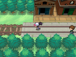 File:BW Prerelease Train tracks.png