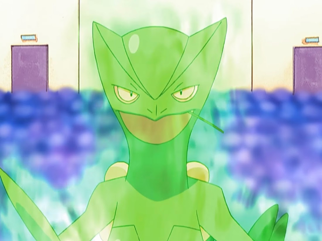 File:Ash Sceptile Overgrow.png