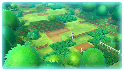 Pokémon GO on X: From the grassy hills of the Kanto region to the