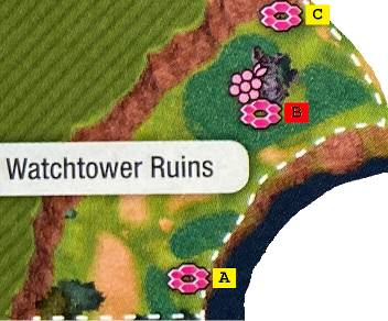 Max Raids - Watchtower Ruins - Wild Area