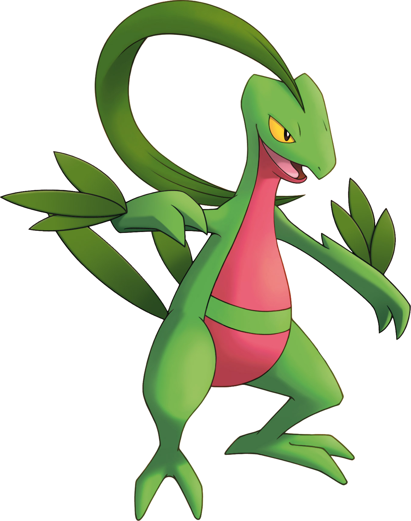Grovyle pmd quotes - 🧡 grovyle - Transparent Images For Free Download.
