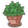 File:DW Leafy Plant.png