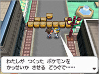 File:B2W2 Prerelease blocked road.png