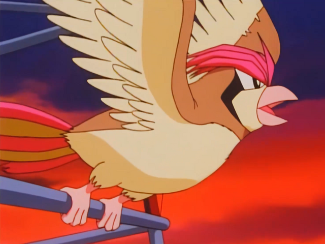 File:Ash Pidgeotto towing balloon.png