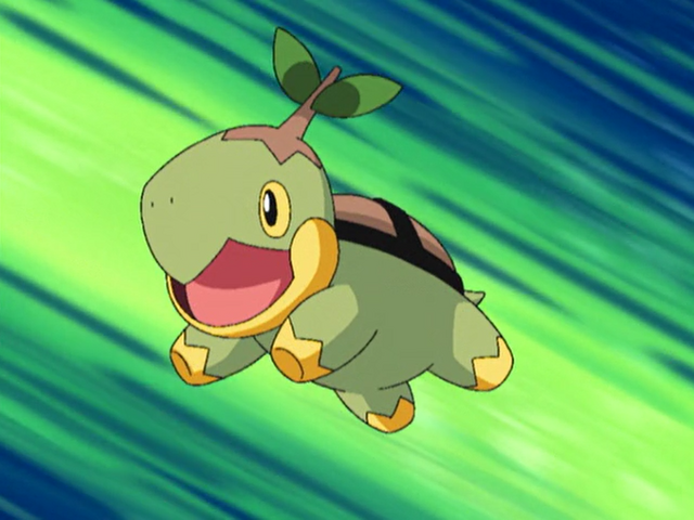 File:Ash Turtwig.png