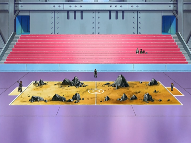 File:Canalave Gym Battlefield.png