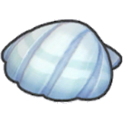 Seashell