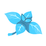 Mild Mint