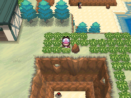 Unova Route 18 Spring BW.png