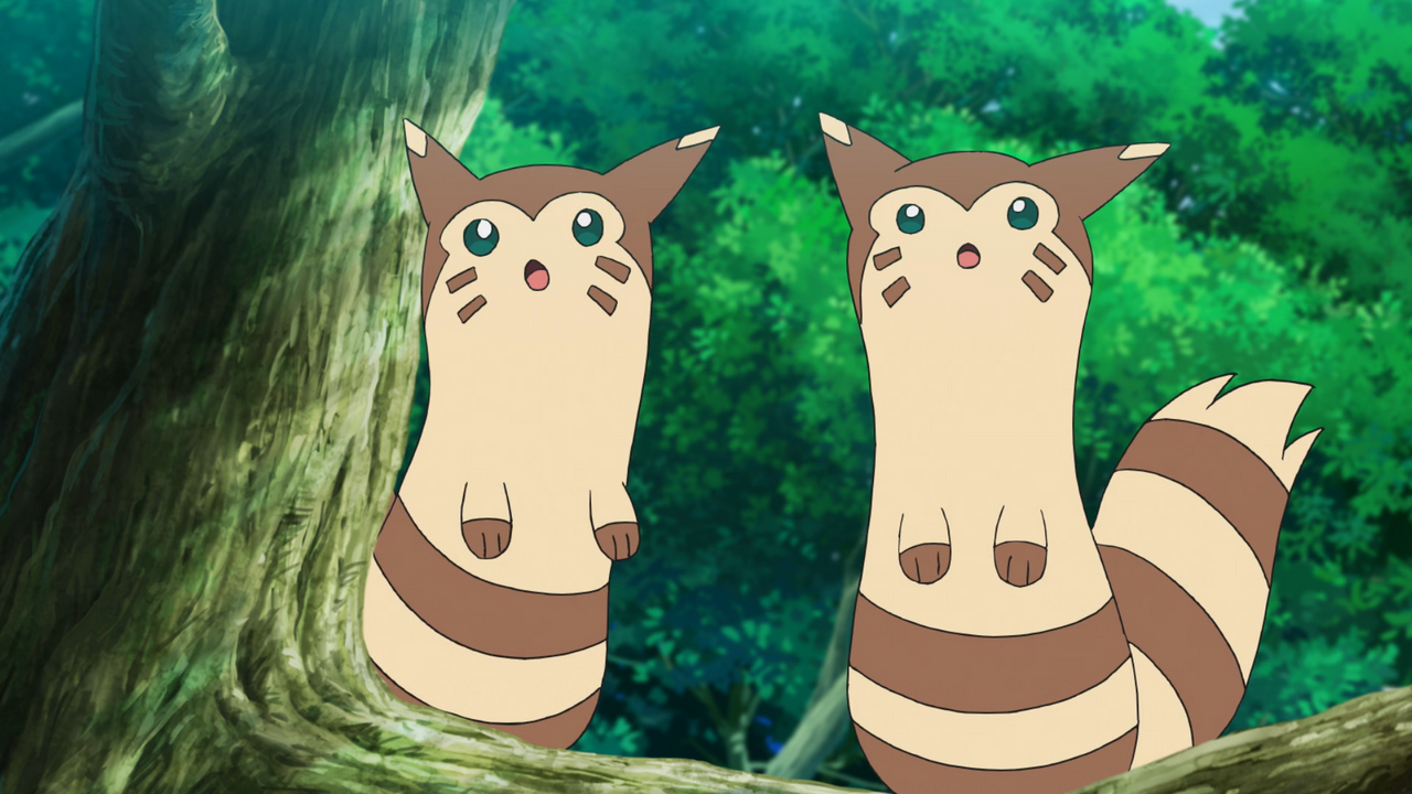 File:Furret anime.png - Bulbagarden Archives