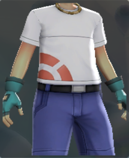 File:PBRWesternGlovesD.png