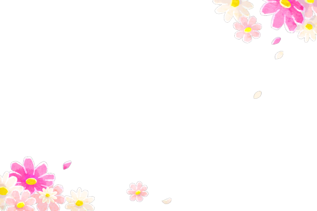 File:Design 14 Frame NPS.png