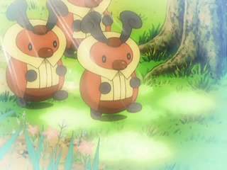 File:Kricketot anime.png