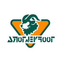 Company Icon BROTHERFOOT.png