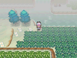 Unova Route 14 Winter BW.png