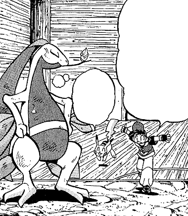 File:Ash and Grovyle AP.png