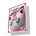 S2 Jigglypuff Poster.png