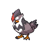 Bird Pokemon